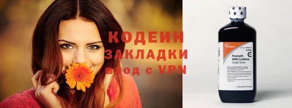 спиды Переславль-Залесский